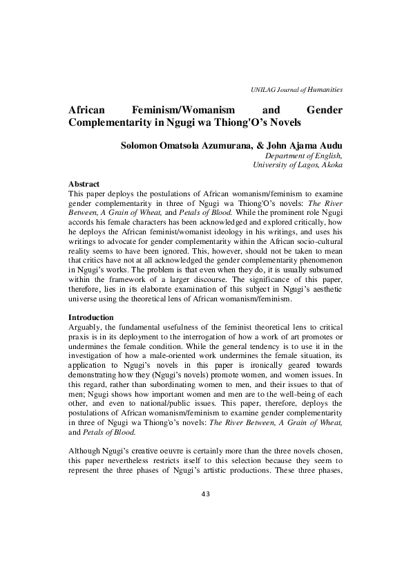 African feminism pdf picture