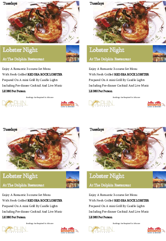 Lobster Flyer | mouhssine elkaidi - Academia.edu
