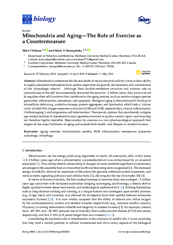 (PDF) Mitochondria and Aging-The Role of Exercise as a Countermeasure