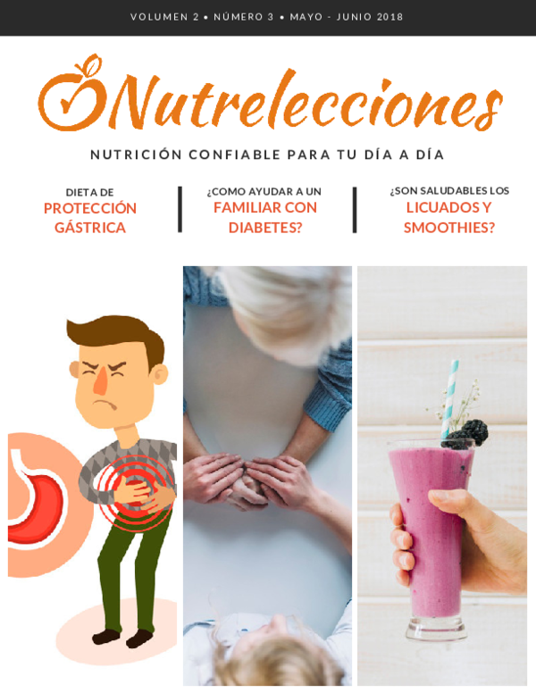 dieta de proteccion gastrica pdf
