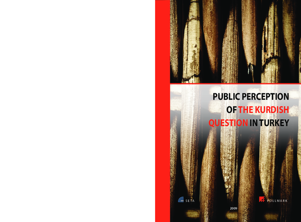 (PDF) PUBLIC PERCEPTION OF THE KURDISH QUESTION IN TURKEY