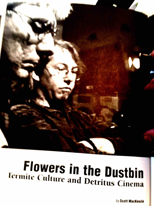 (PDF) Flowers in the Dustbin Termite Culture and Detritus Cinema