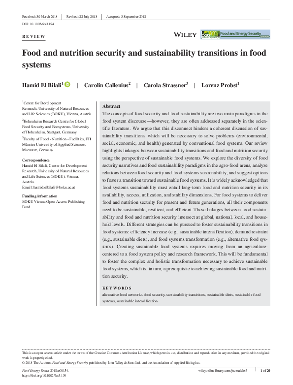 (PDF) Food and nutrition security and sustainability transitions in ...
