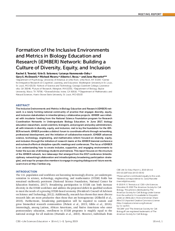 Inclusive environment essay picture