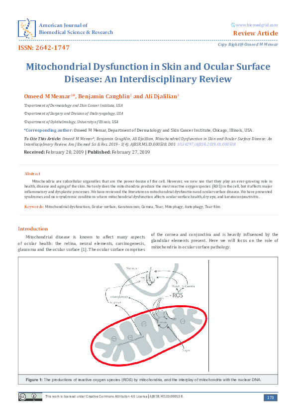 Mitochondria articles news picture