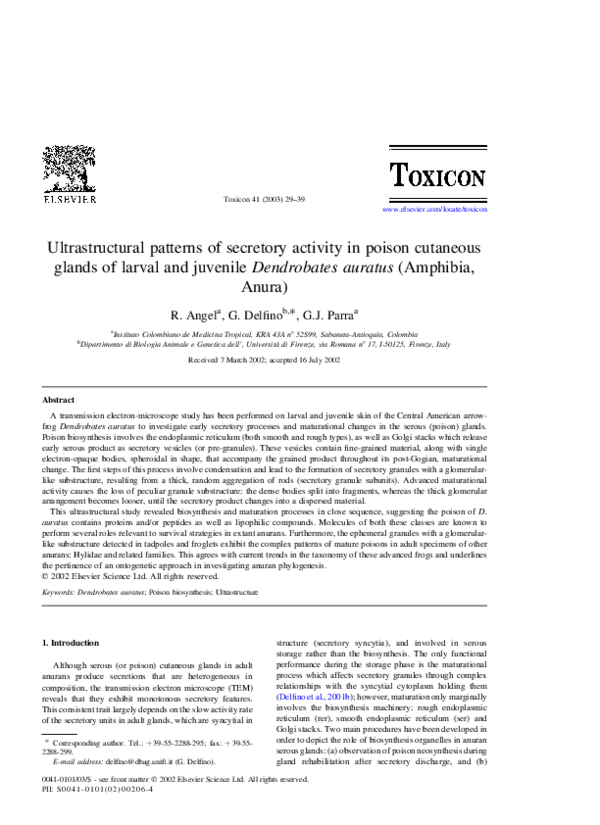 Pdf Ultrastructural Patterns Of Secretory Activity In Poison Cutaneous Glands Of Larval And Juvenile Dendrobates Auratus Amphibia Anura Gabriel Parra Henao Academia Edu