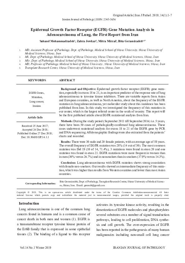 (PDF) Epidermal Growth Factor Receptor (EGFR) Gene Mutation Analysis in ...