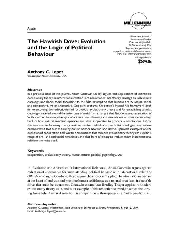 Dove evolution essay 08 image