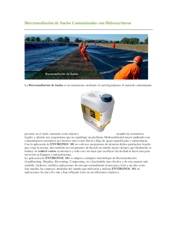 (DOC) Biorremediación de Suelos Contaminados con Hidrocarburos Vanessa Medrano Academia.edu