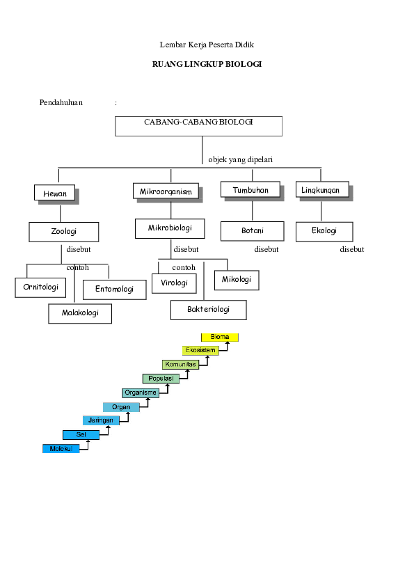 Lembar Kerja Peserta Didik