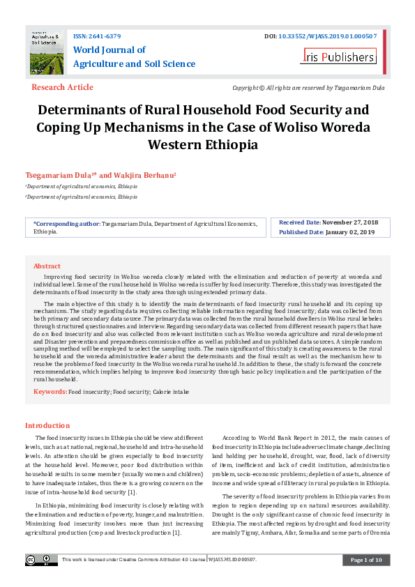 (PDF) Determinants of Rural Household Food Security and Coping Up ...