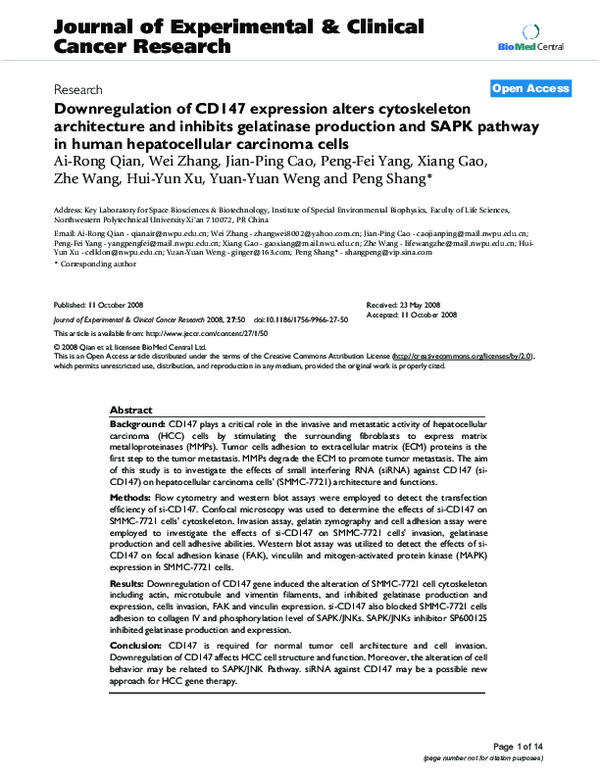 (PDF) Downregulation of CD147 expression alters cytoskeleton ...