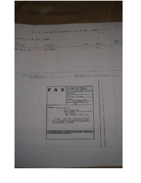 (PDF) Race and Ethnicity SF 181 Status Correction