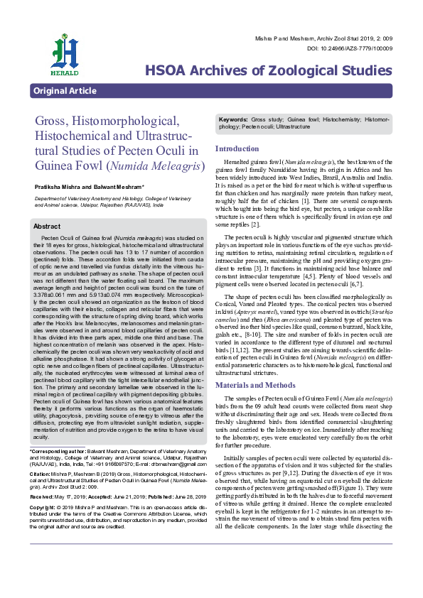 (PDF) Functional morphology of the pecten oculi in the nocturnal