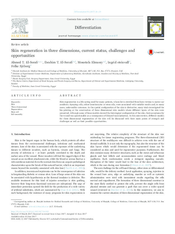 (PDF) Skin regeneration in three dimensions, current status, challenges ...