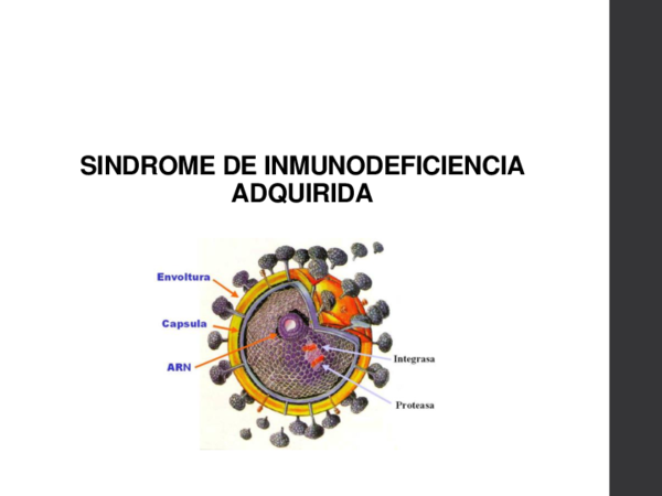 (PPT) Sindrome de inmunodeficiencia adquirida NUEVO20190721 72534