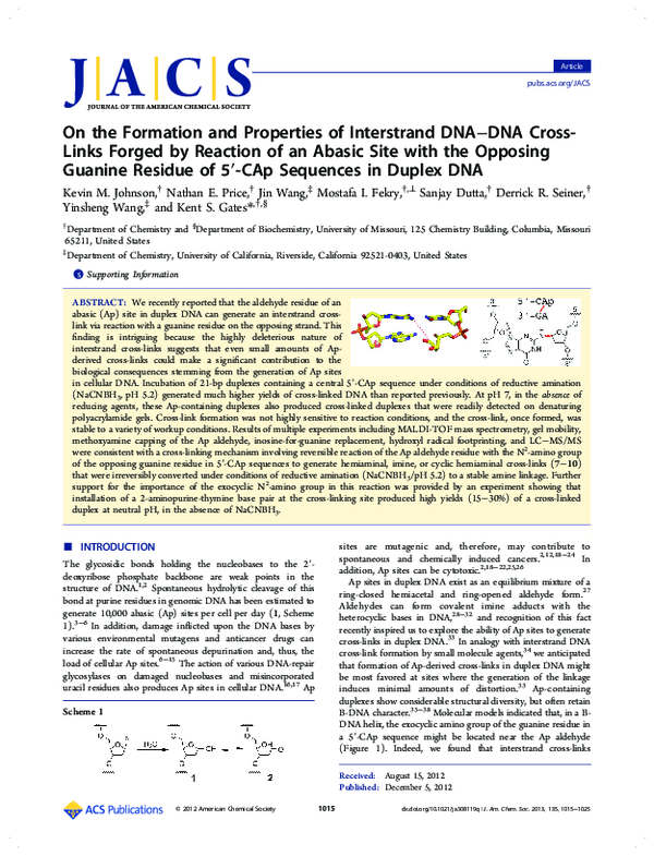 (PDF) On the Formation and Properties of Interstrand DNA−DNA Cross ...