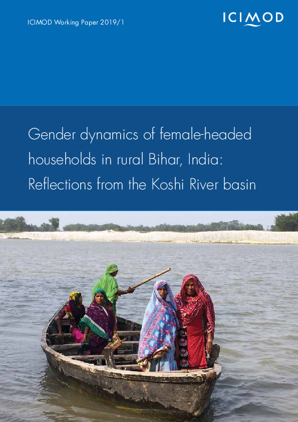 (PDF) Gender dynamics of female-headed households in rural Bihar, India ...