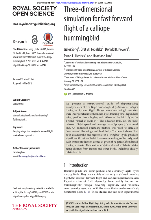 (PDF) Three-dimensional simulation for fast forward flight of a ...