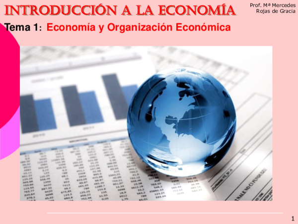 (PDF) Introducción a la ecoNOMÍA