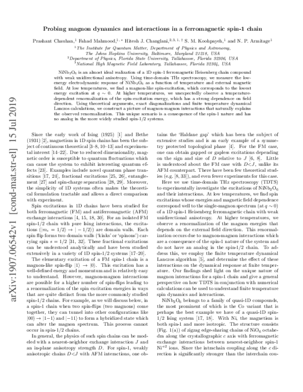 (PDF) Probing magnon dynamics and interactions in a ferromagnetic spin ...