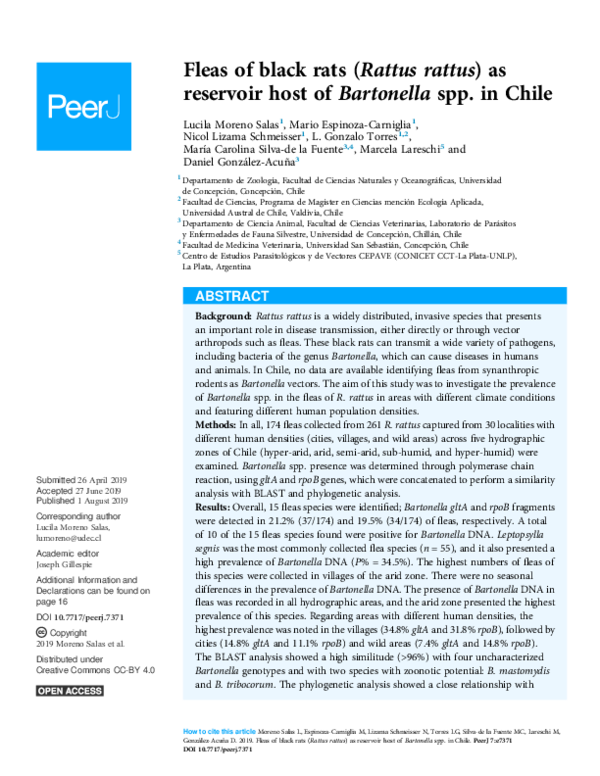 (PDF) Fleas of black rats (Rattus rattus) as reservoir host of ...