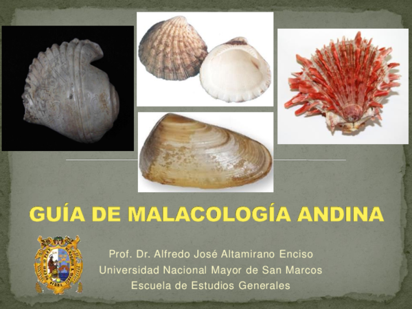 (PDF) Altamirano (2019) Guía de Malacología andina