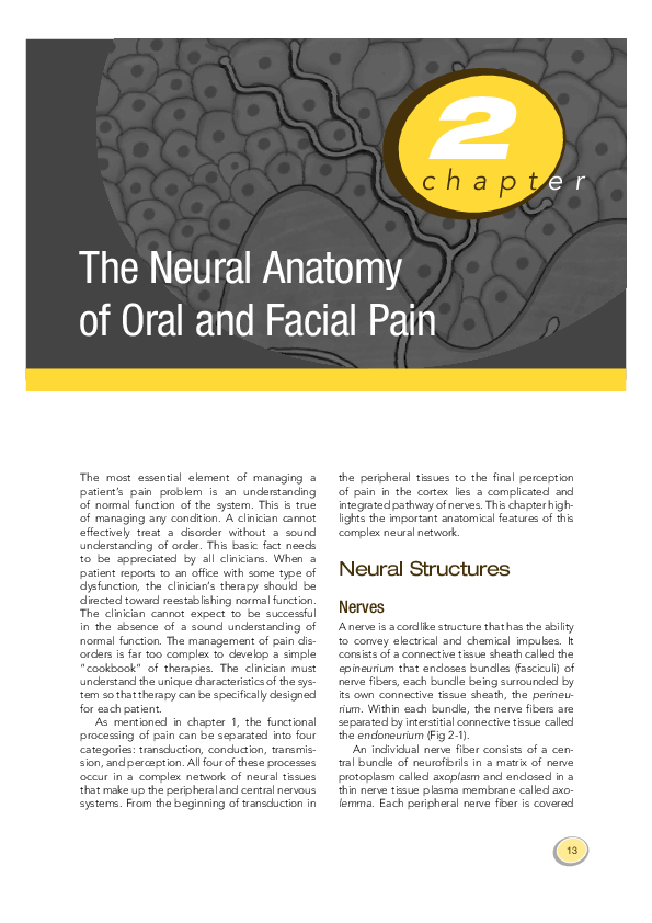 (PDF) The Neural Anatomy of Oral and Facial Pain