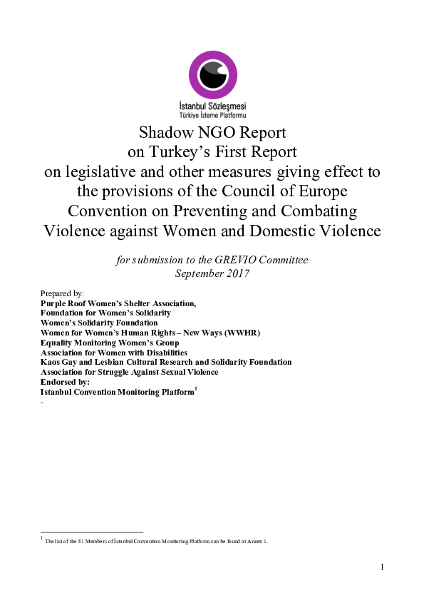 (PDF) Civil Society Shadow Report for Turkey's Baseline (1st) Review ...