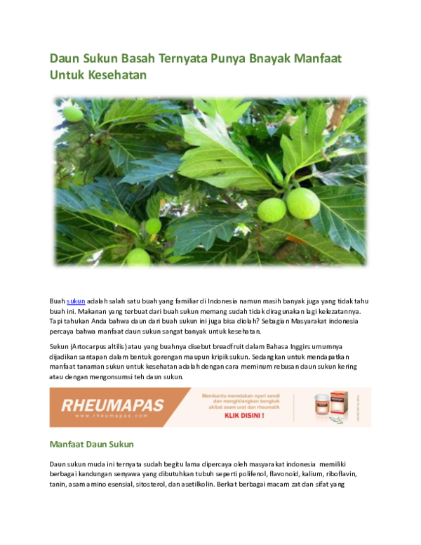manfaat daun sukun untuk penyakit diabetes
