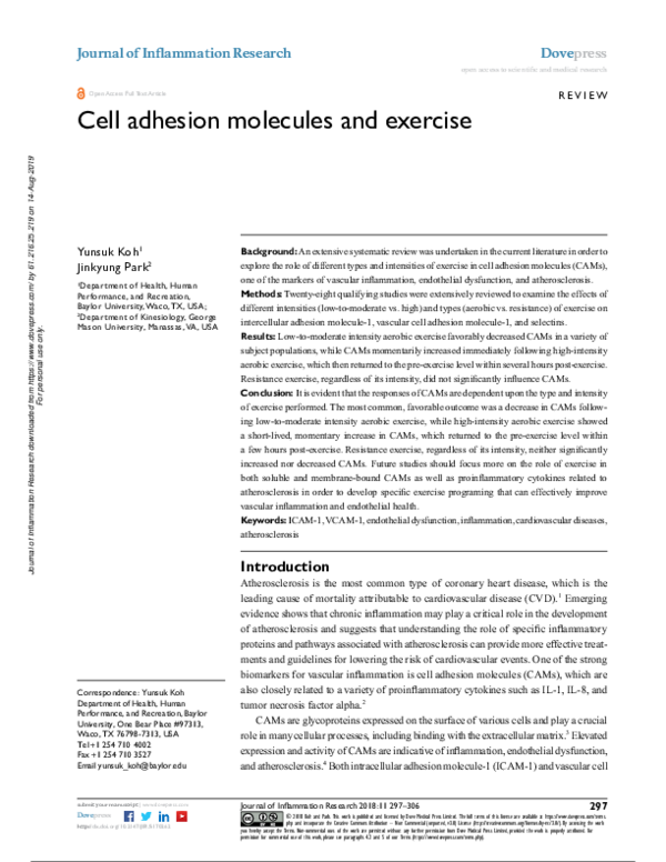 (PDF) Cell adhesion molecules and exercise
