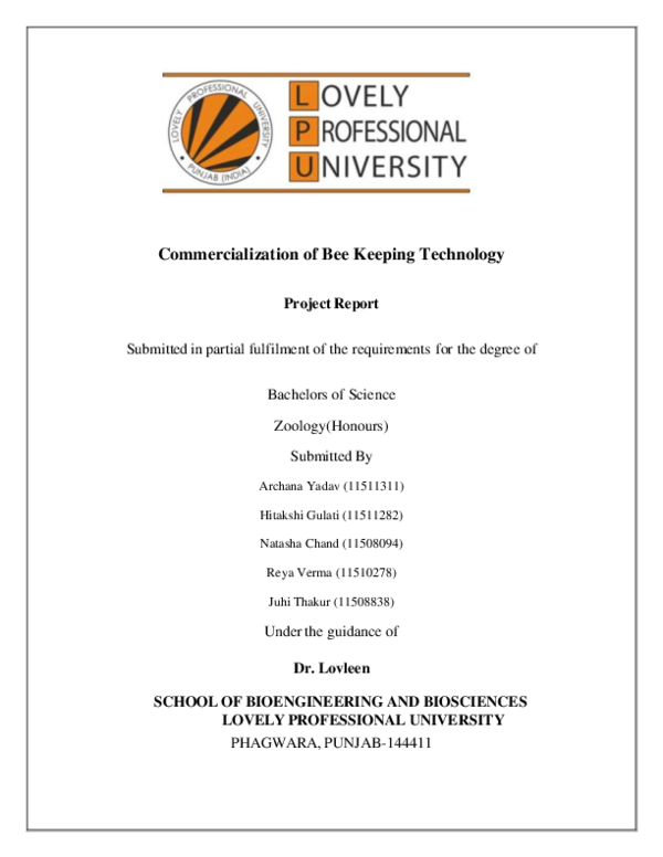 (PDF) Commercialization of Bee Keeping Technology Project Report