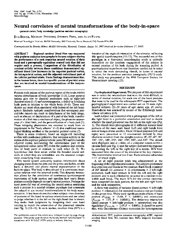 (PDF) Neural correlates of mental transformations of the body-in-space