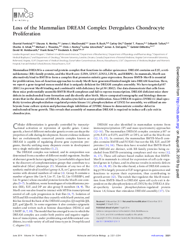 (PDF) Loss of the mammalian DREAM complex deregulates chondrocyte ...