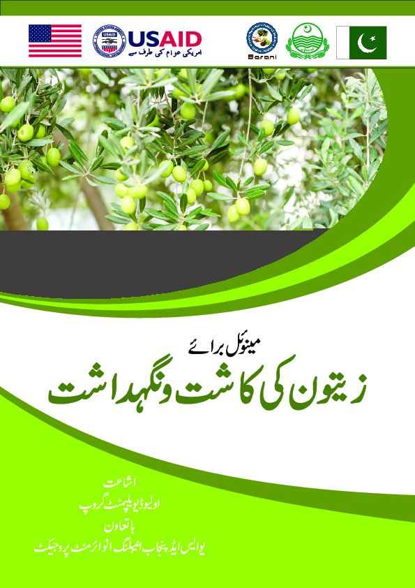 (PDF) Curved Urdu Olive Guide Ali Afzal Sahi Academia.edu