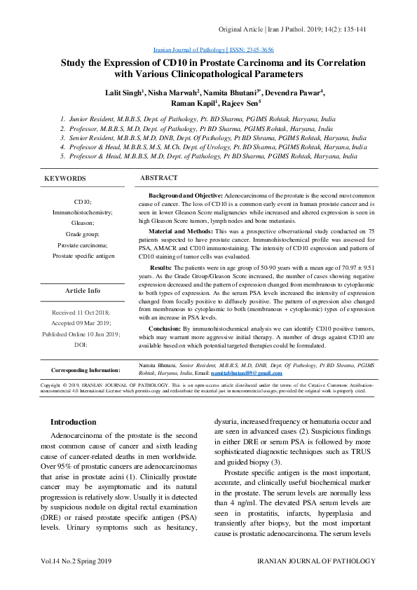 (PDF) Study the Expression of CD10 in Prostate Carcinoma and its ...