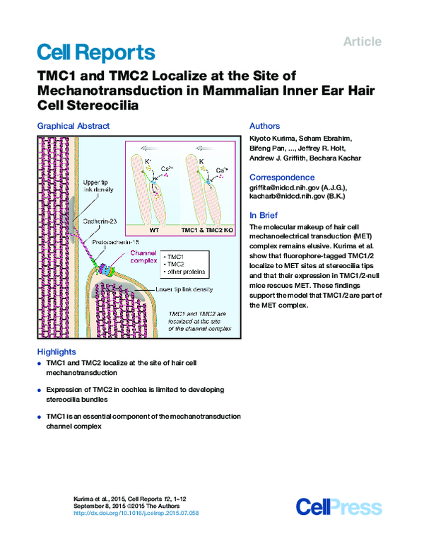 (PDF) TMC1 and TMC2 Localize at the Site of Mechanotransduction in ...