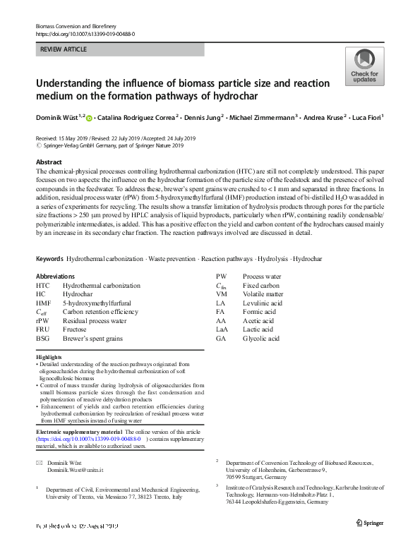 (PDF) Understanding the influence of biomass particle size and reaction ...