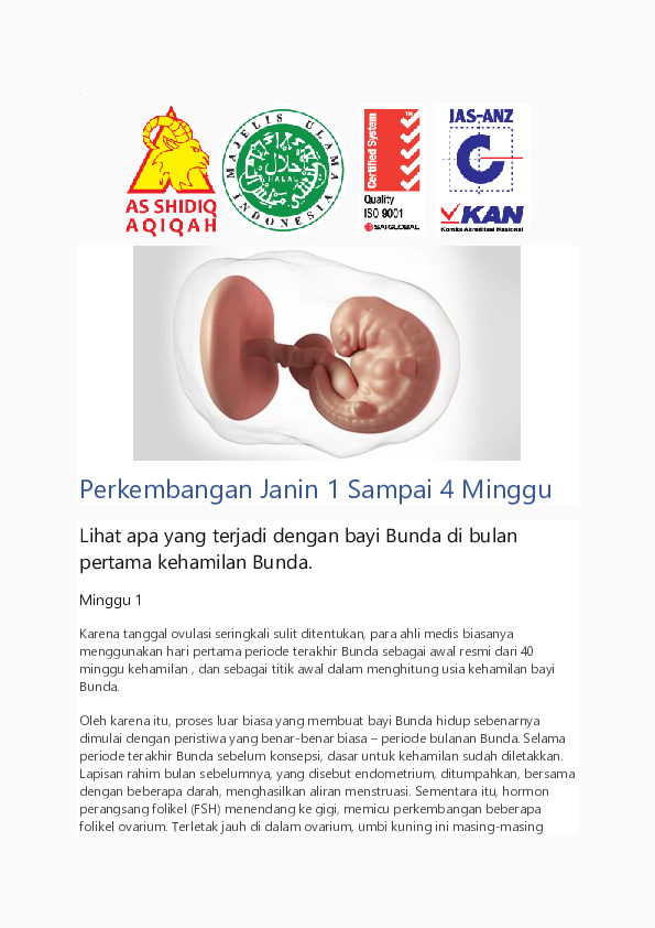 Perkembangan Janin