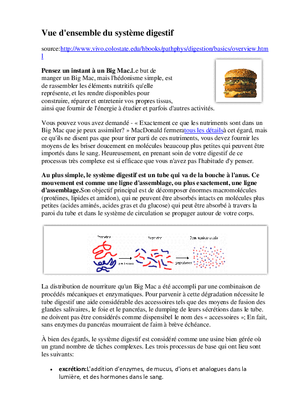 (DOC) French Version Overview of the Digestive System Catherine