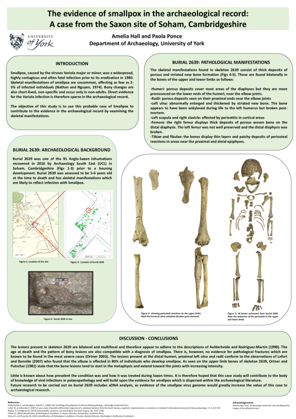 (PDF) The evidence of smallpox in the archaeological record: A case ...