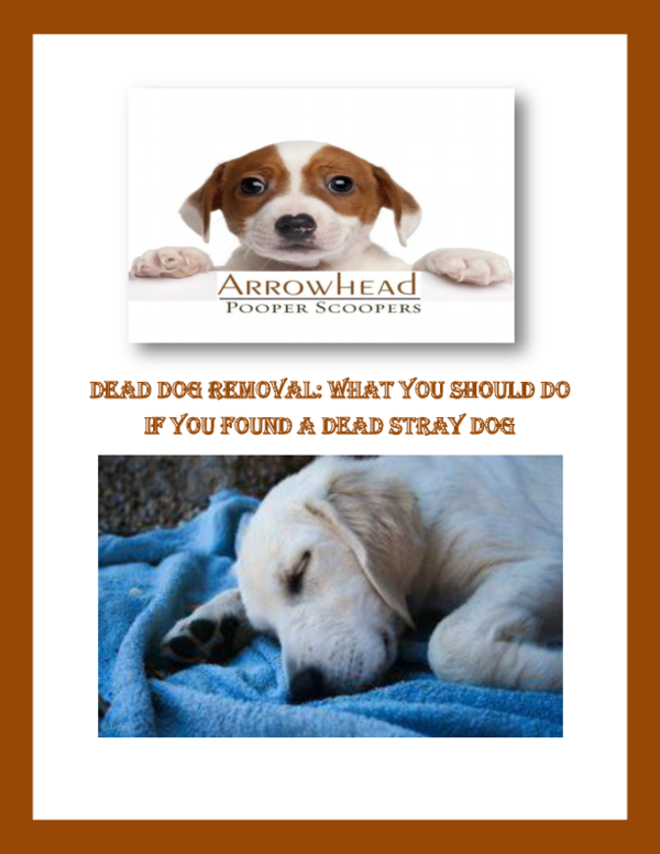 (PDF) Dead Dog Removal What You Should Do If You Found a Dead Stray
