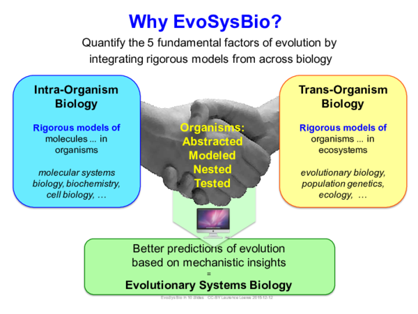 Better predictions of evolution based on mechanistic insights ...