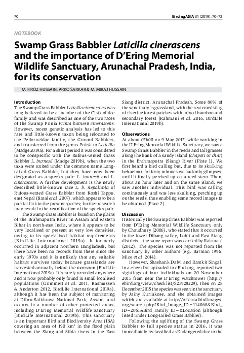 (PDF) Swamp Grass Babbler Laticilla cinerascens and the importance of D