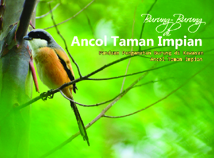 PDF) Wicaksono G, Baihaqi A, Fahira J et al. 2015. Panduan Pengamatan Burung di Kawasan Ancol Taman Impian. Lembaga Penerbitan Universitas Nasional, Jakarta | Gusti Wicaksono - Academia.edu