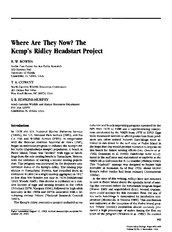 (PDF) Where are they now? The Kemp’s ridley headstart project Brian