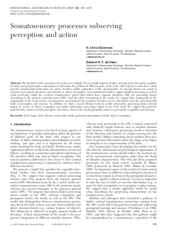 (PDF) Somatosensory processes subserving perception and action