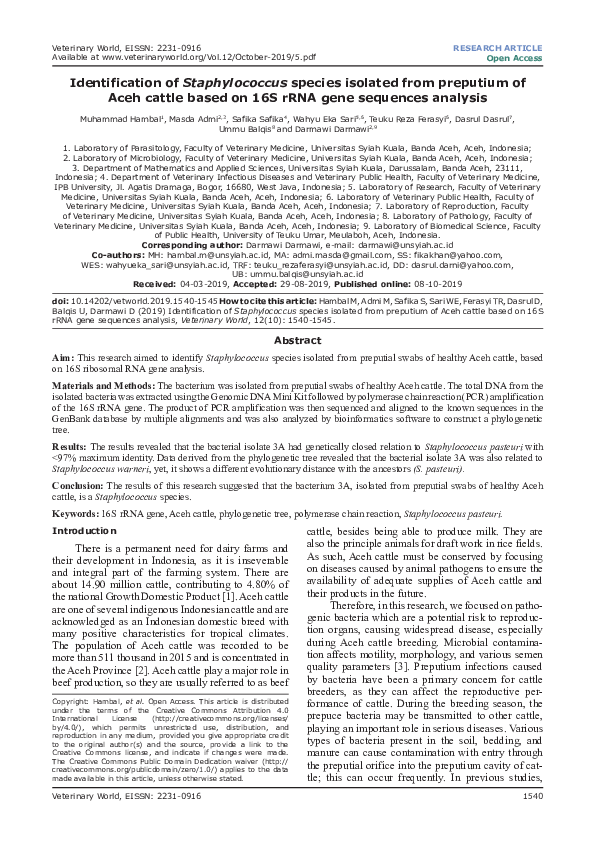 (PDF) Identification of Staphylococcus species isolated from preputium ...