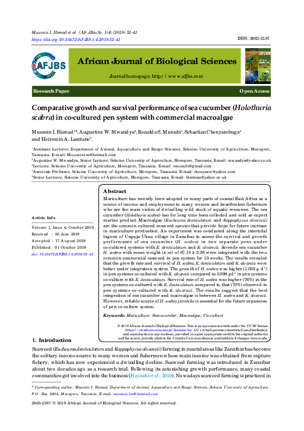 Sea cucumber benefits image