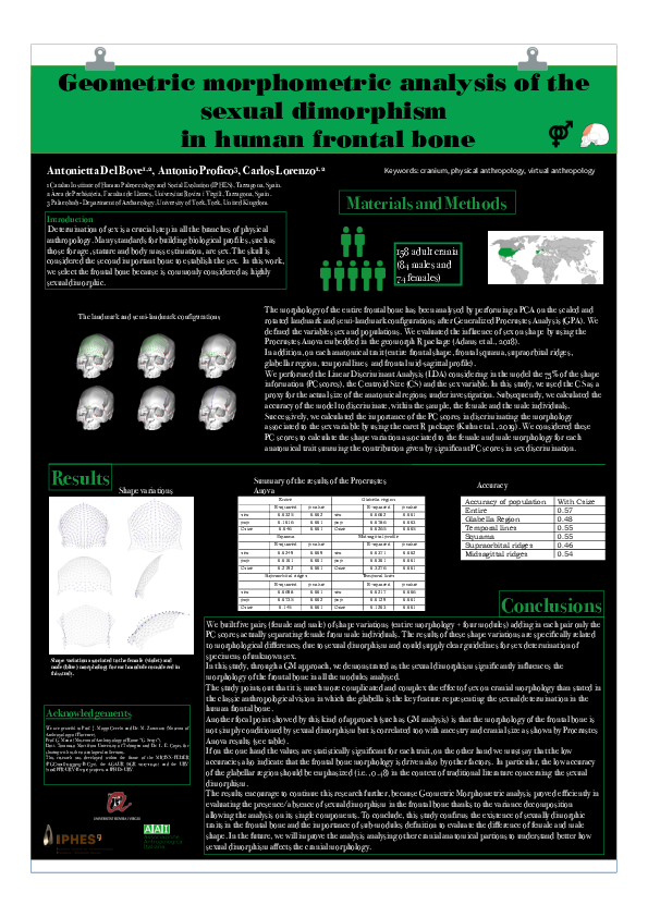 (PDF) Geometric morphometric analysis of the sexual dimorphism in human ...